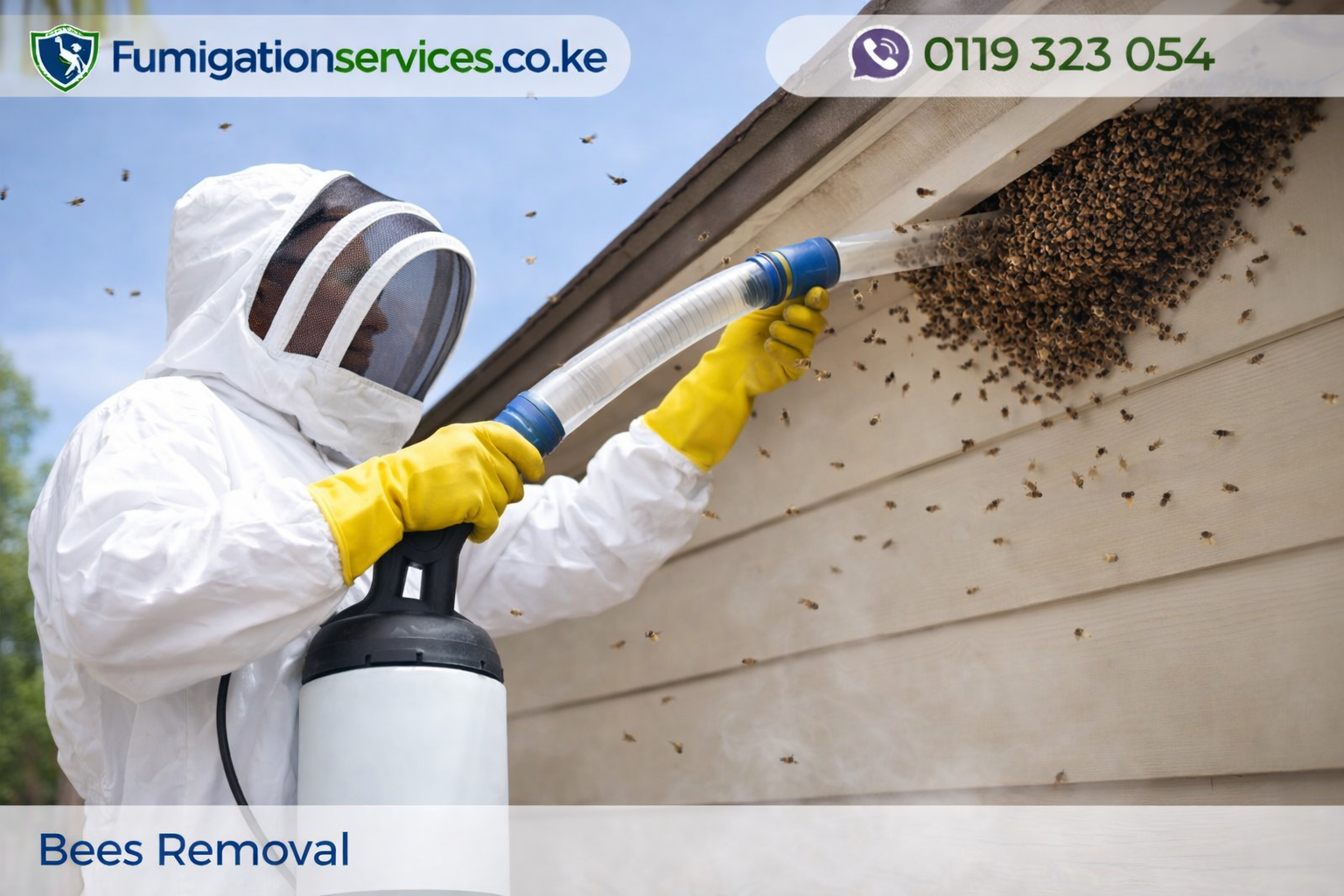bees removal services in nairobi