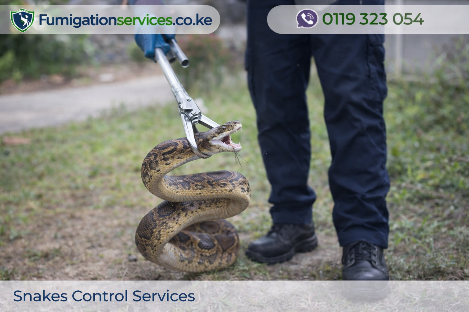 snake control in action