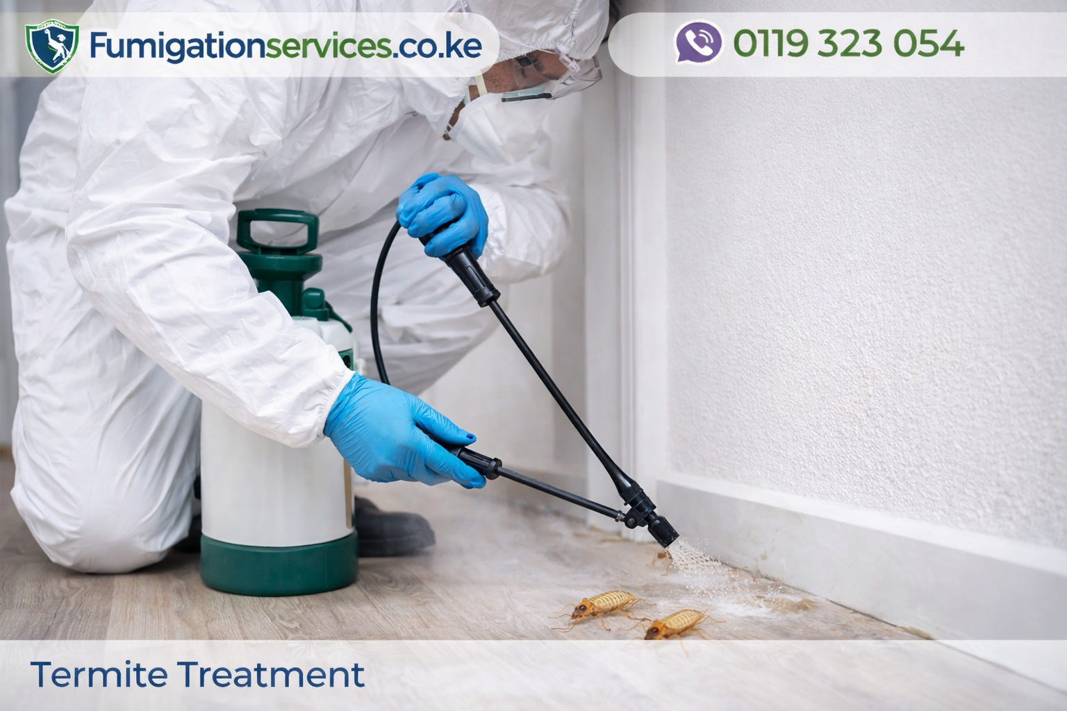 termite treatment in action